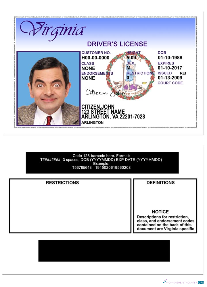 download USA Virgina DL version 2